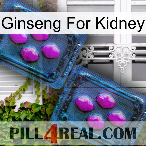 Ginseng For Kidney 03.jpg